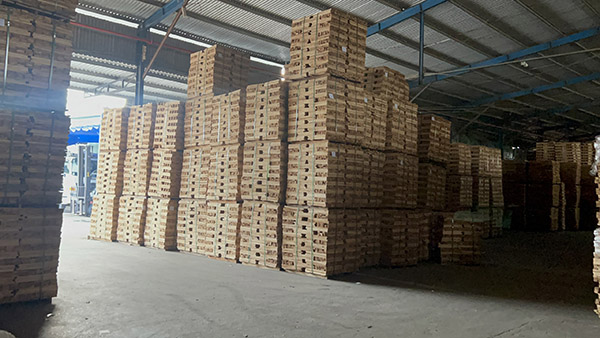 Warehouse 2 scale 8000m2