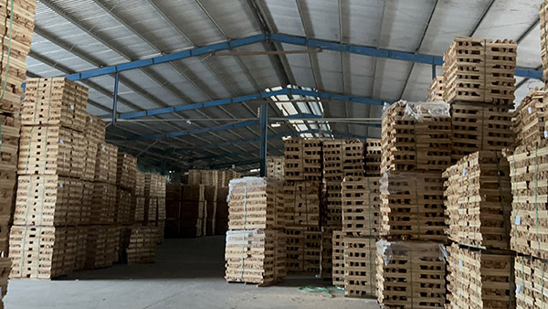 Warehouse 2 scale 8000m2