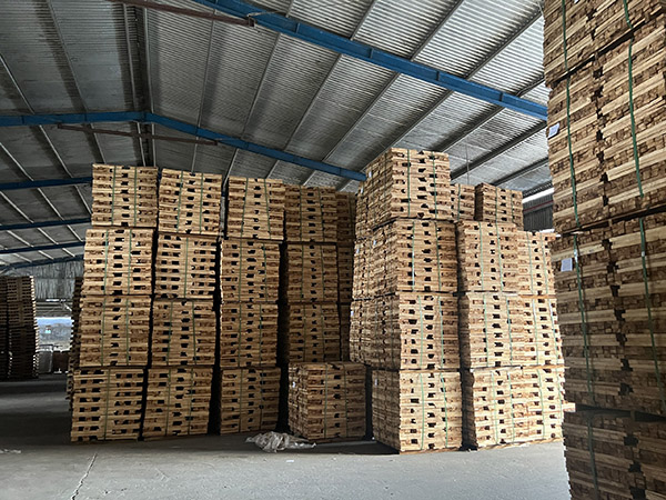 Warehouse 2 scale 8000m2