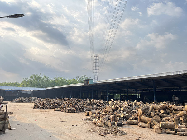 Rubber wood sawing area