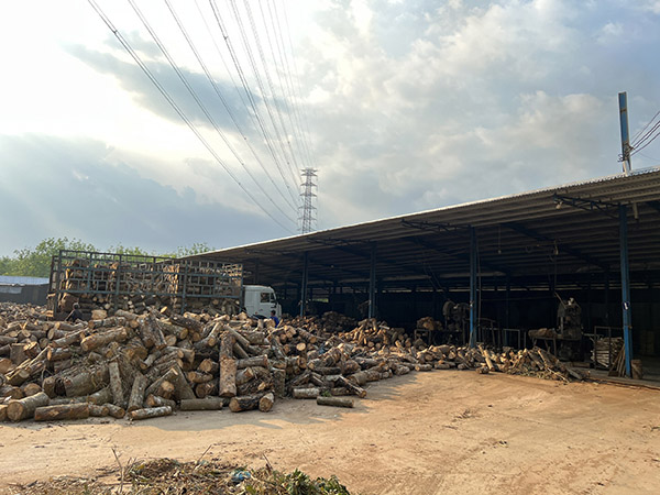 Rubber wood sawing area