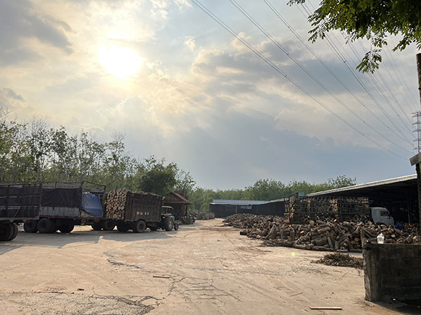 Rubber wood sawing area