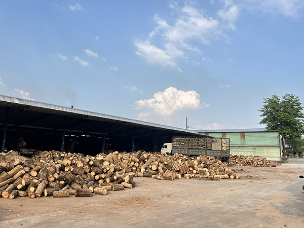 Rubber wood sawing area