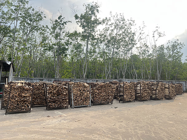 Rubber wood sawing area