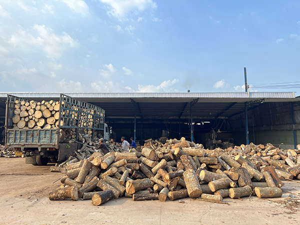 Rubber wood sawing area