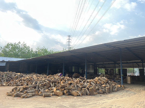 Rubber wood sawing area