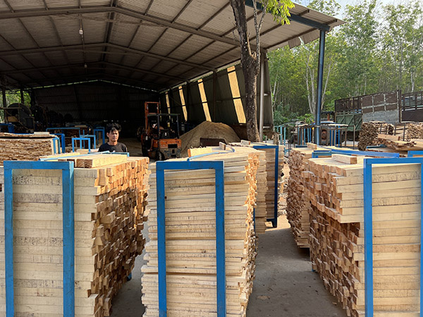 Fresh wood billets are prepared for drying
