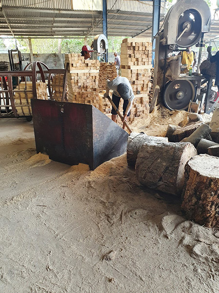 Rubber wood sawing process