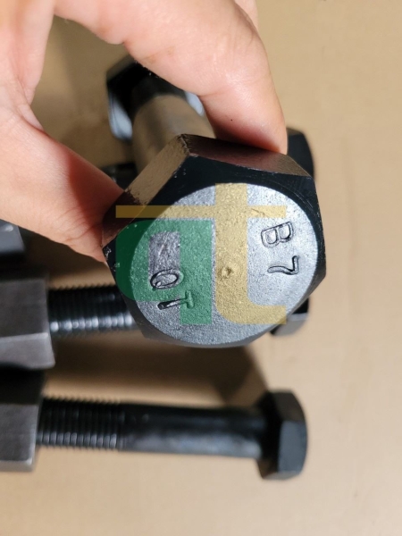 Quang Thai bolts