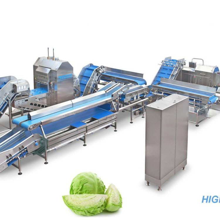 Vegetable and fruit processing and packaging line