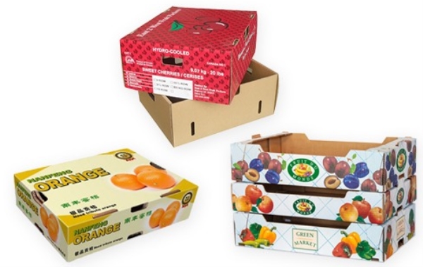 Paper boxes