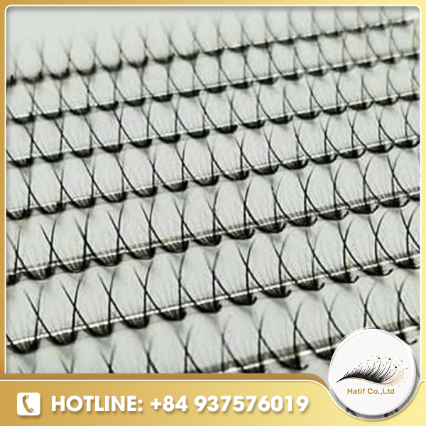 Fan lash