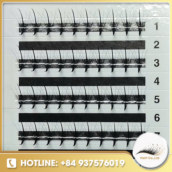 Fan lash