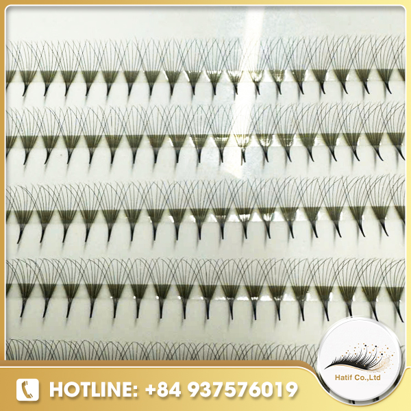 Fan lash