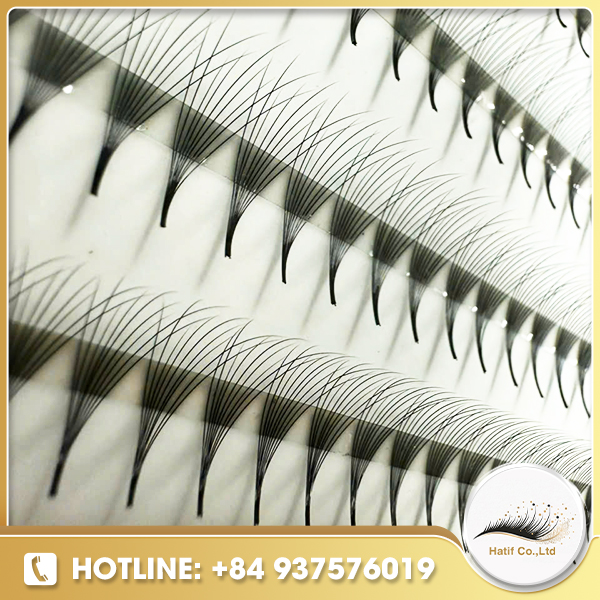 Fan lash