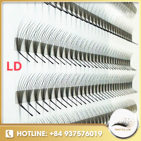 Fan lash LD