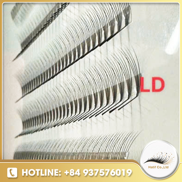 Fan lash LD