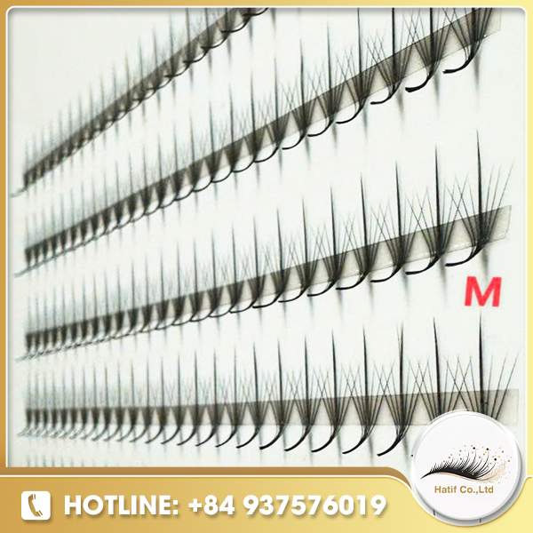 Fan lash M