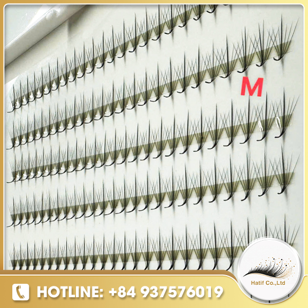 Fan lash M