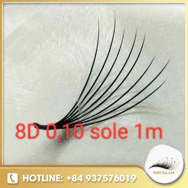 Fan lash sole 8D 0.10 1m