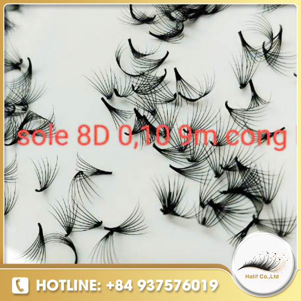Fan lash sole 8D 0.10 9m