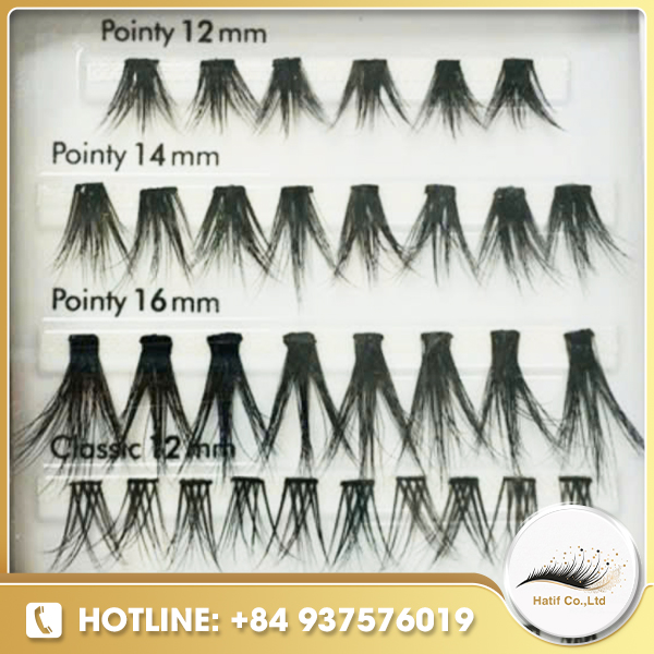 Pointy flare lash