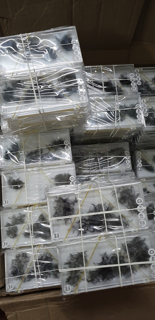 Fan eyelashes