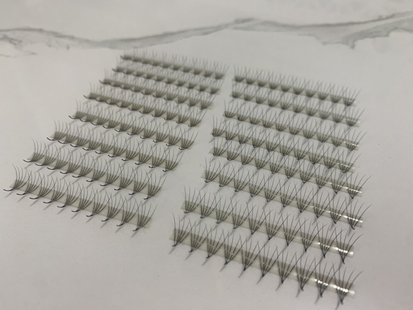 Fan eyelashes