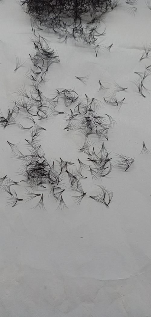 Fan eyelashes