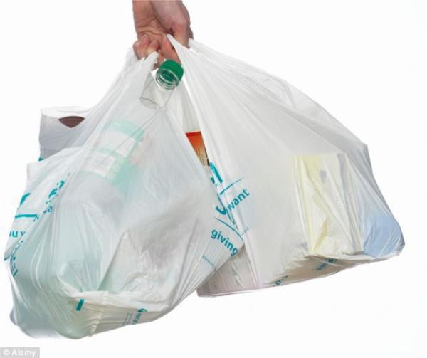 Market bag