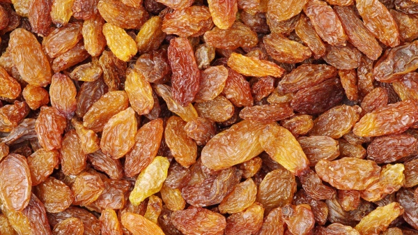 Malayar Raisin