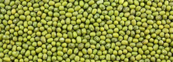 Green Mung Bean