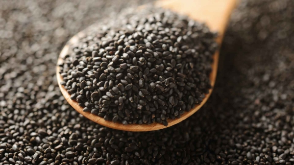 Basil Seed