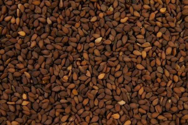 Brown Sesame Seed