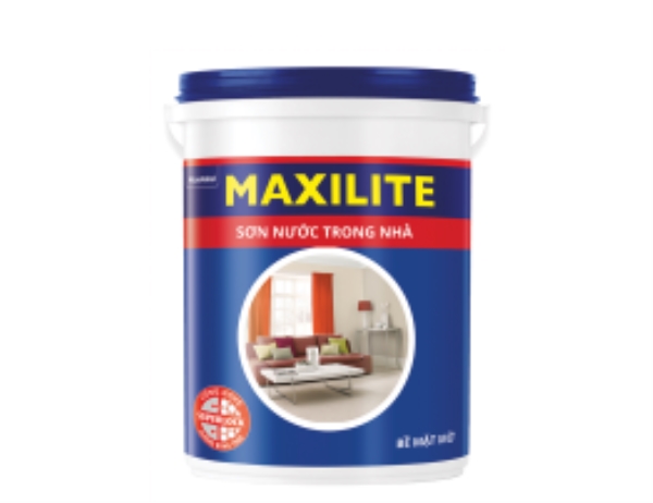 Maxilite paint box