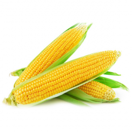 Sweet corn
