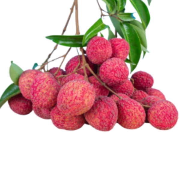 Fresh lychee