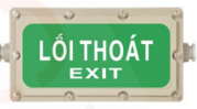 Explosion-proof EXIT light
