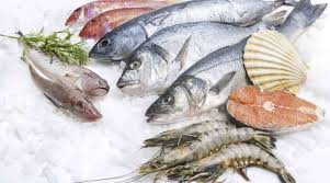 Transport Of Frozen Products