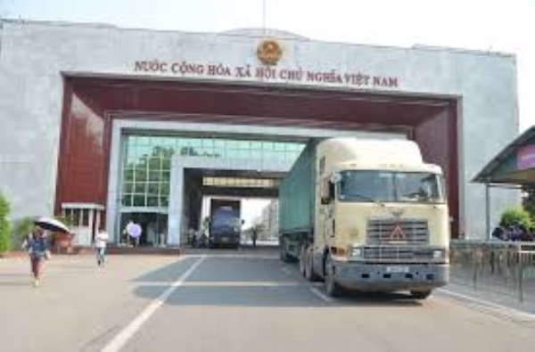 Customs and import-export service