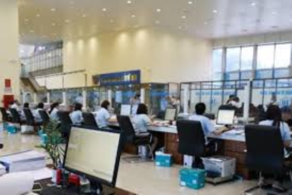 Customs and import-export service