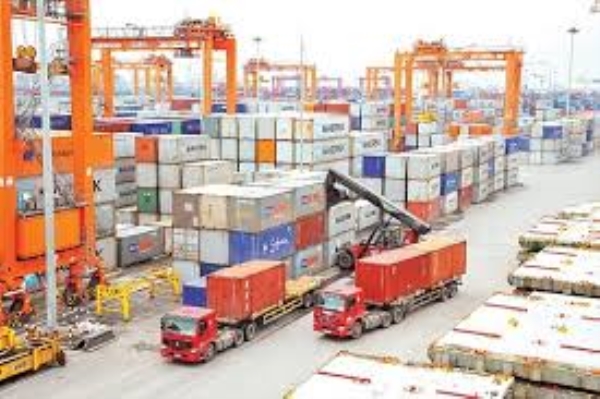 Customs and import-export service