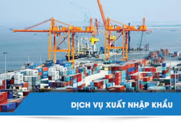 Customs and import-export service