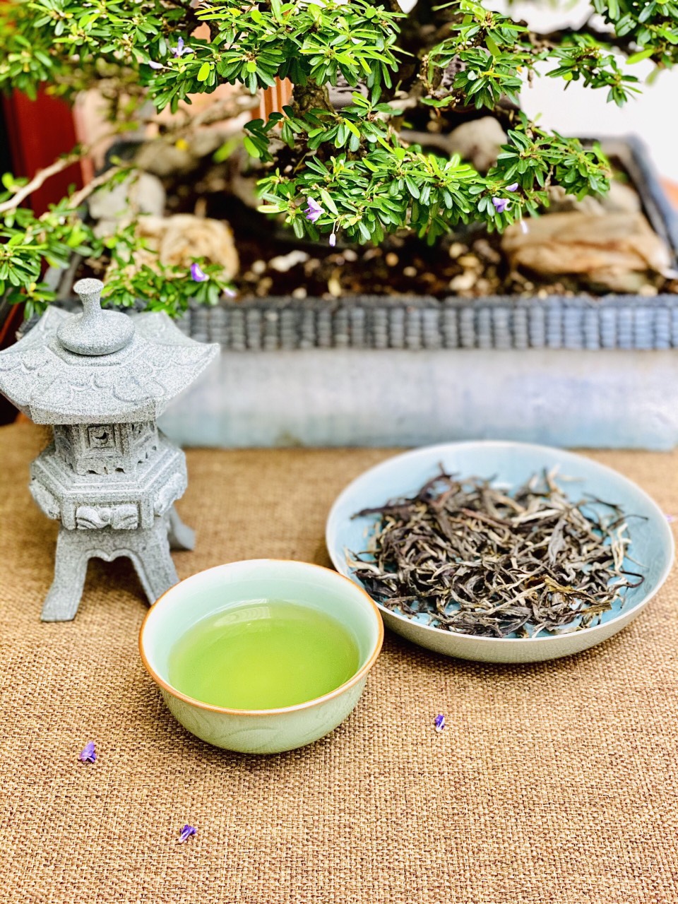 Pu-Erh tea