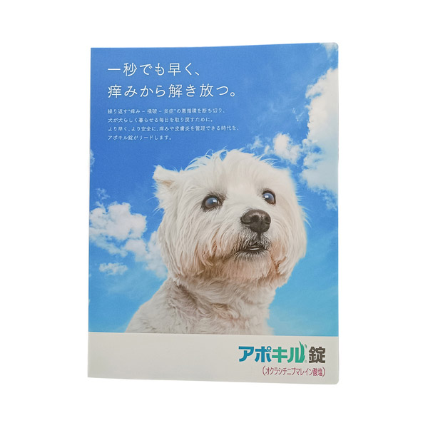 File folder