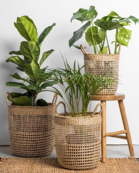 Planter basket