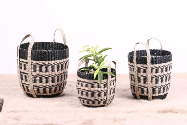 Planter basket