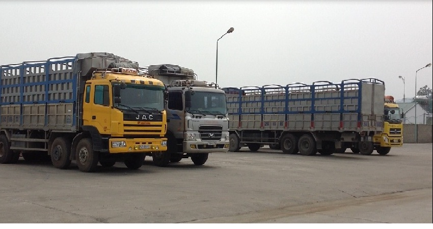 Construction goods transport service