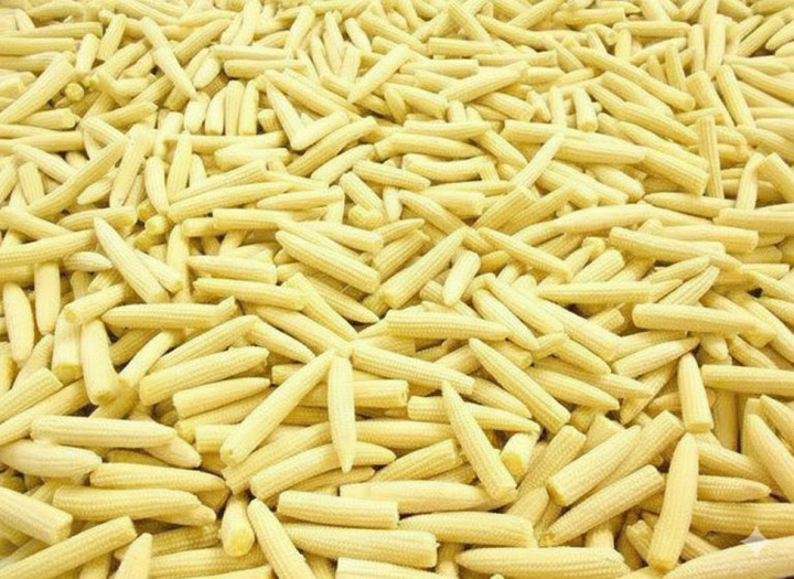 Frozen whole baby corn