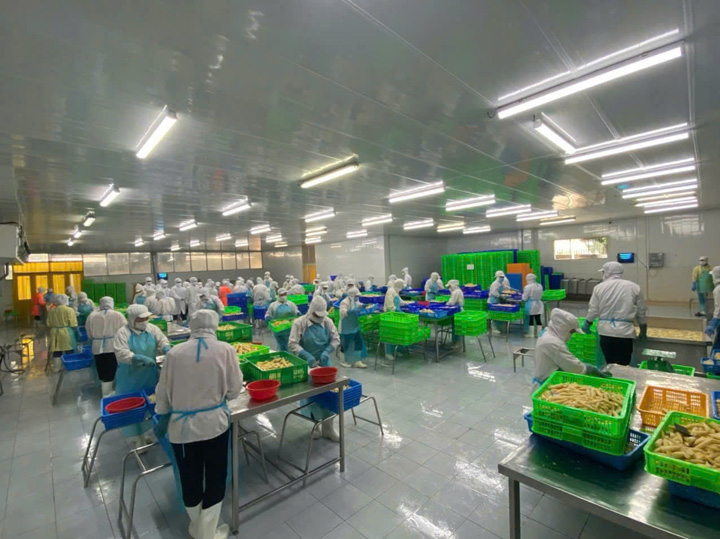 Phu Thinh Company image